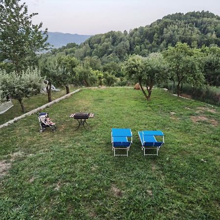 Вилла Vila Ella Capatineni-Ungureni Экстерьер фото