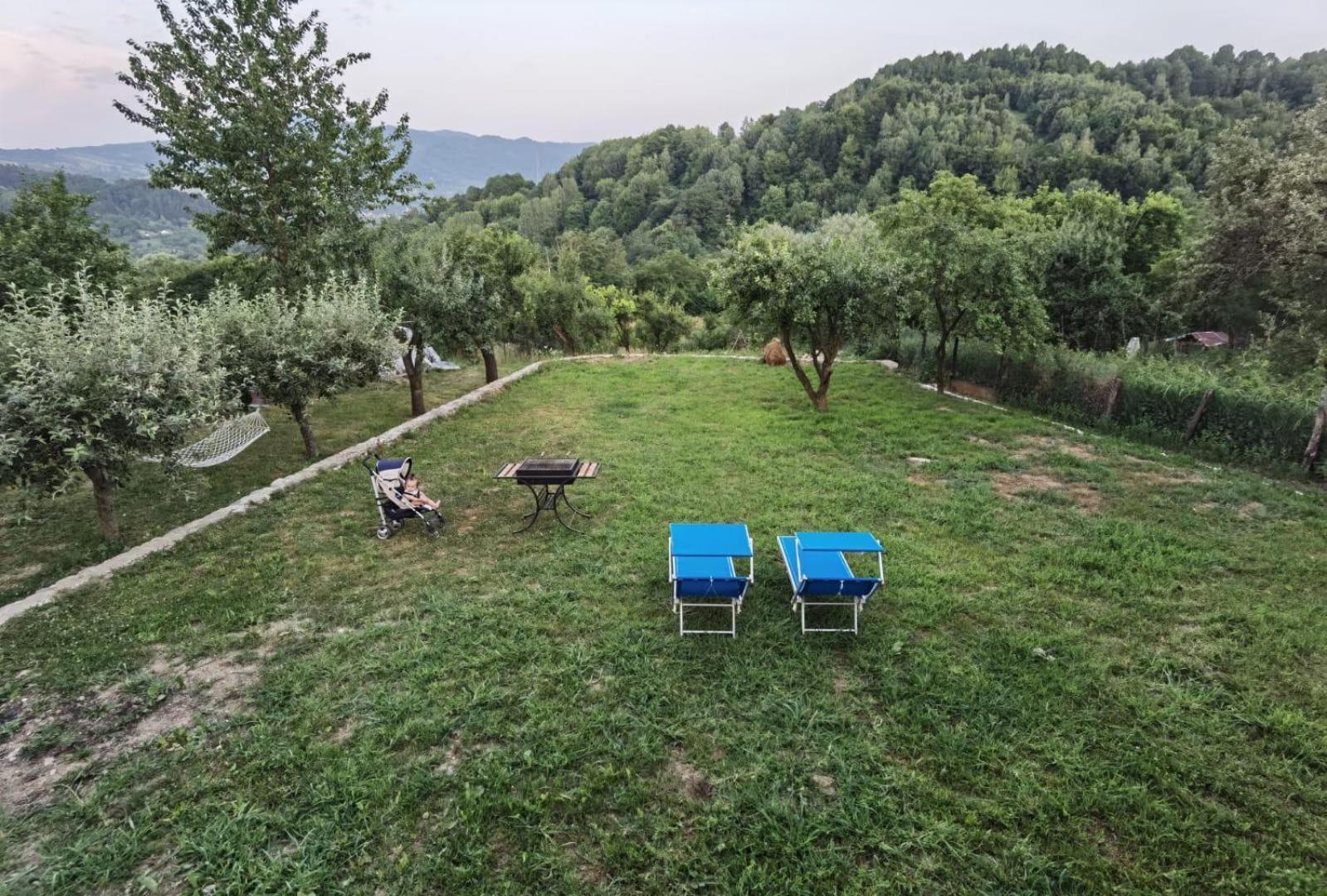 Вилла Vila Ella Capatineni-Ungureni Экстерьер фото