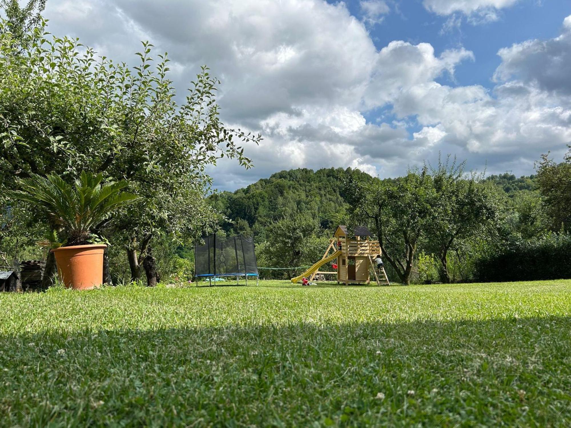 Вилла Vila Ella Capatineni-Ungureni Экстерьер фото